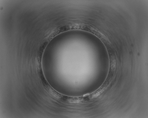 X0000051250661200506241548