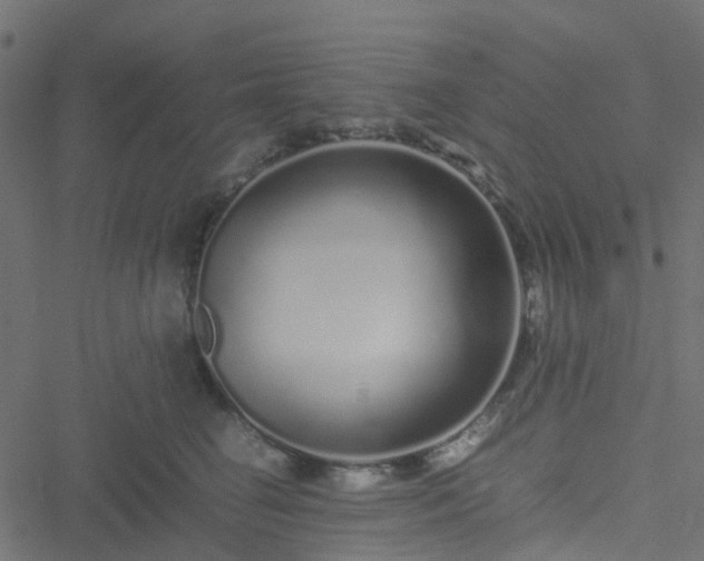 X0000051250662200506241548