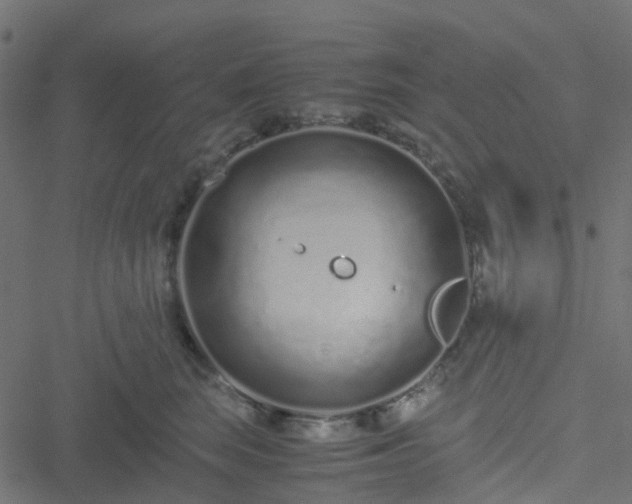 X0000051250663200506241548