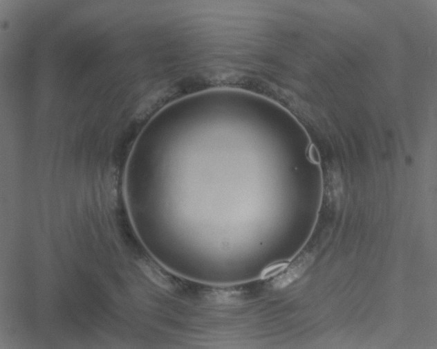 X0000051250664200506241548