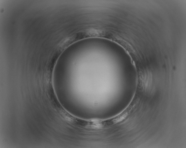 X0000051250665200506241548