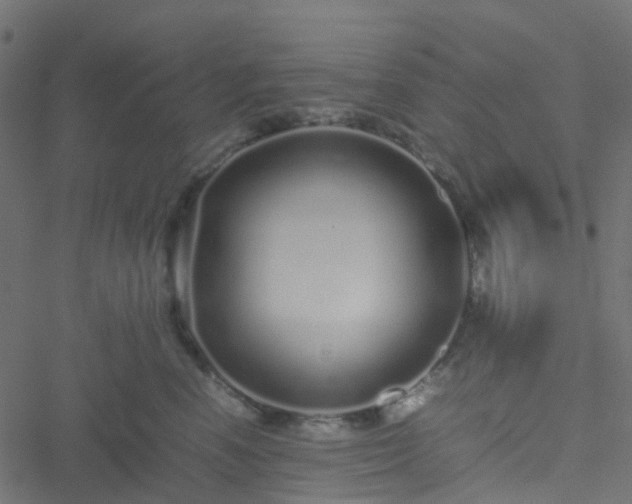 X0000051250666200506241548