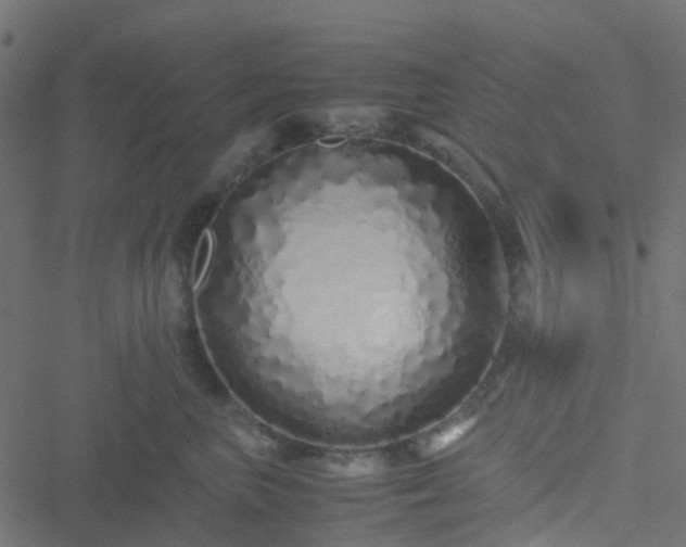 X0000051250667200506241548