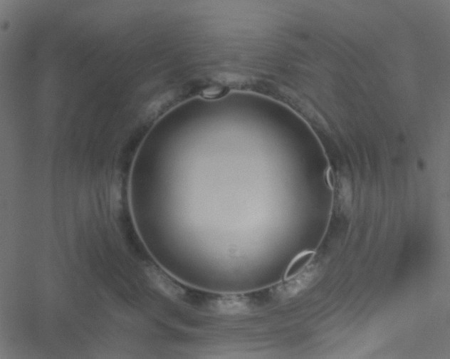 X0000051250668200506241548