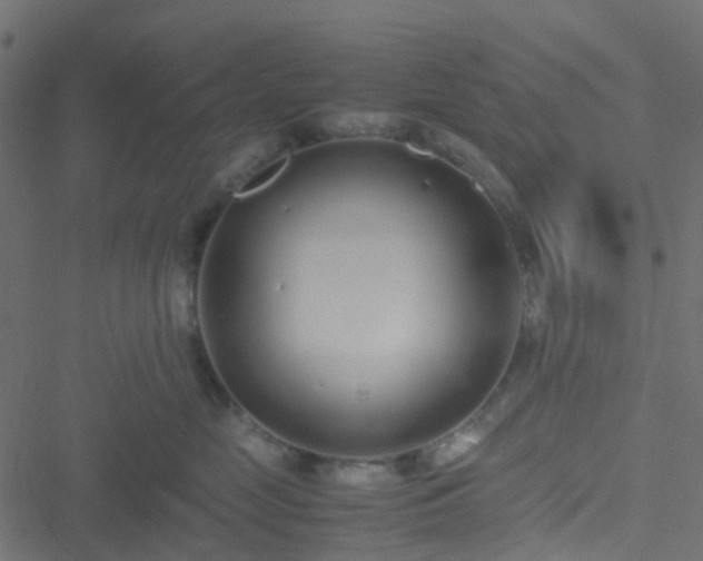 X0000051250669200506241548