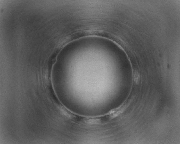 X0000051250670200506241548