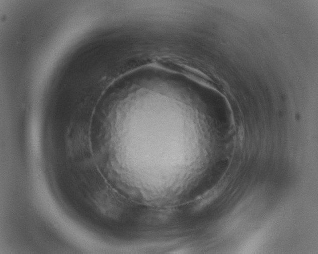 X0000051250671200506241548