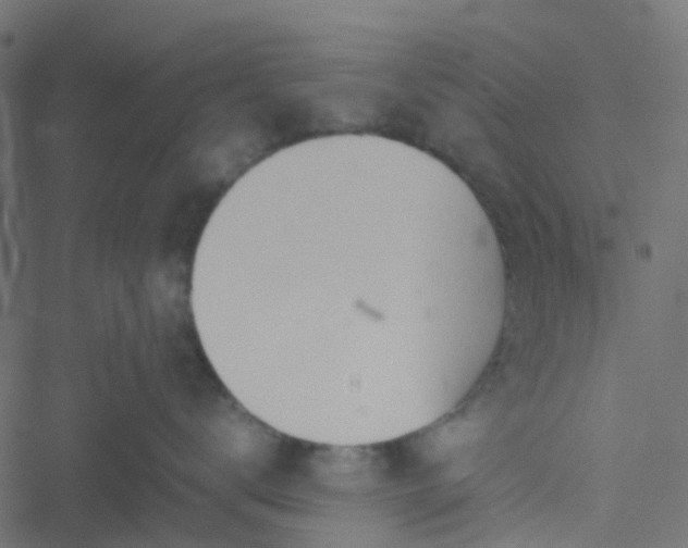 X0000051250672200506241548