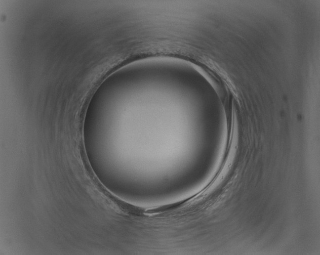 X0000051250673200506241547