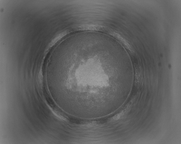 X0000051250674200506241547