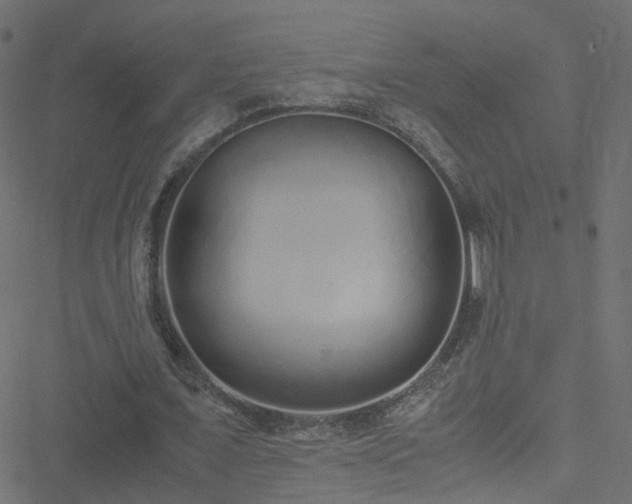 X0000051250675200506241547