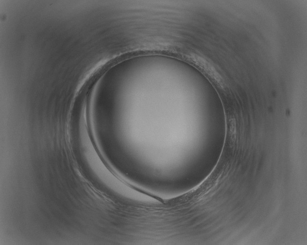 X0000051250676200506241547