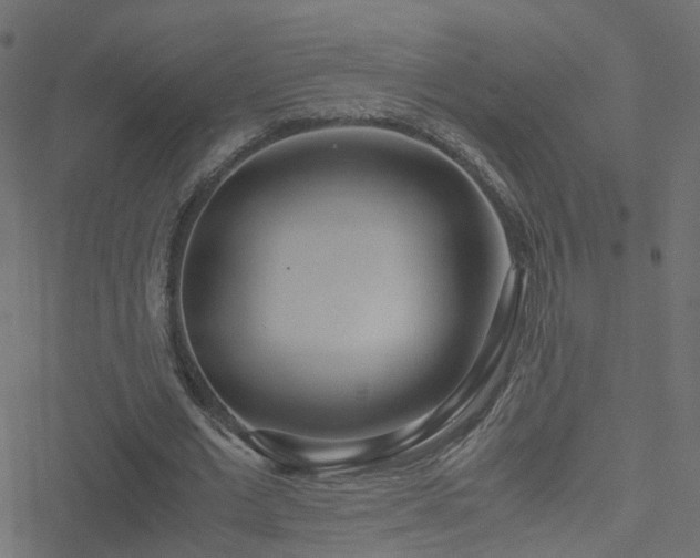 X0000051250677200506241547