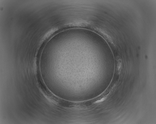 X0000051250678200506241547