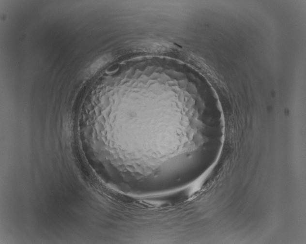 X0000051250679200506241547