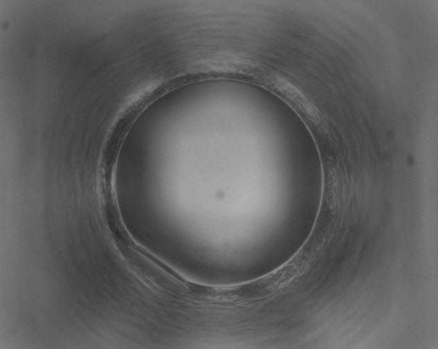 X0000051250680200506241547