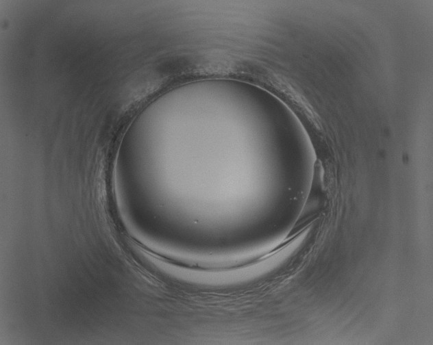 X0000051250681200506241547