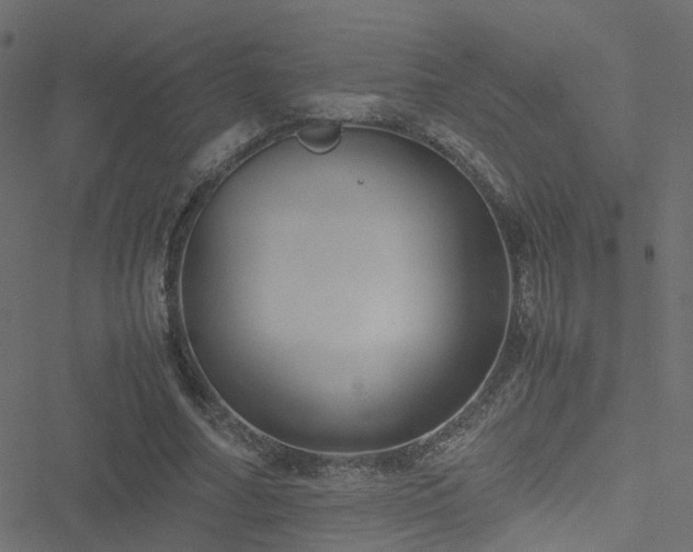 X0000051250682200506241547