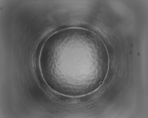 X0000051250683200506241547