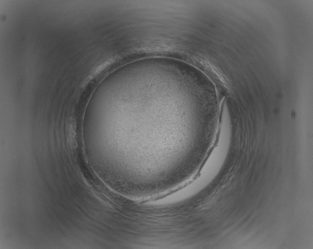 X0000051250684200506241547