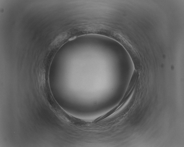 X0000051250685200506241547