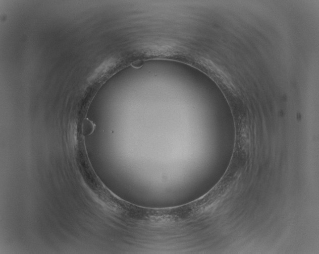 X0000051250686200506241547