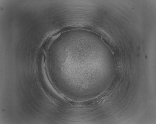 X0000051250688200506241547