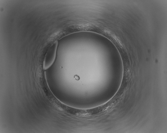 X0000051250689200506241547