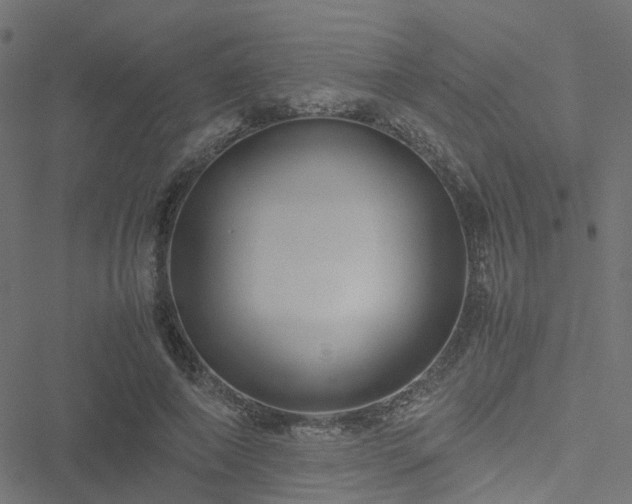 X0000051250690200506241547