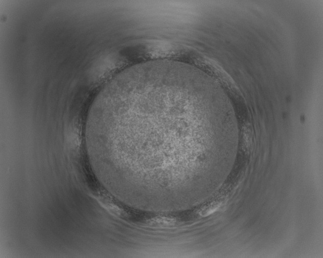 X0000051250691200506241547