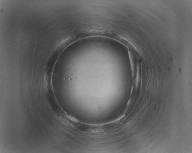 X0000051250692200506241547