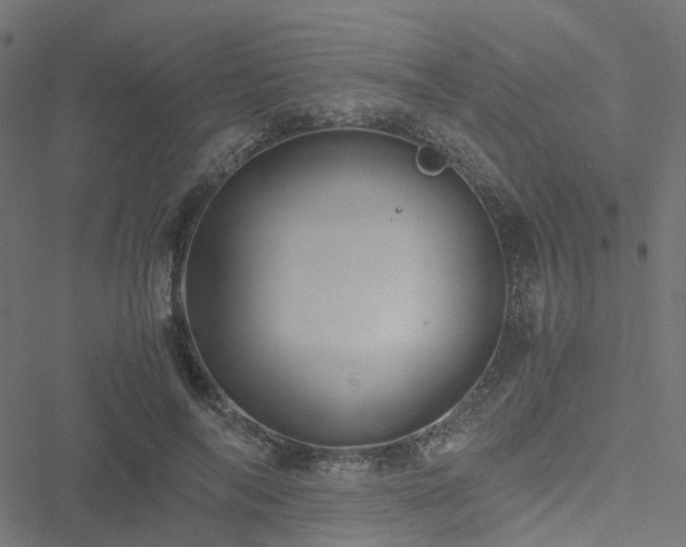 X0000051250694200506241547