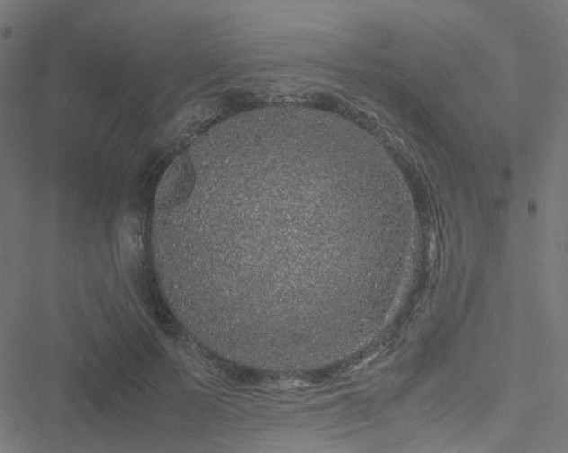 X0000051250695200506241547