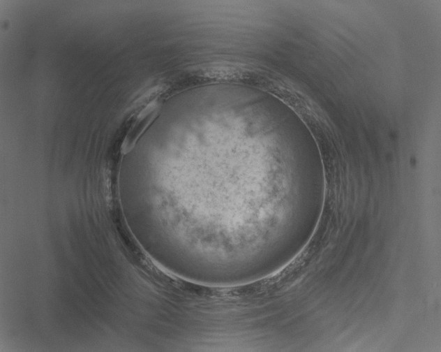 X0000051250696200506241547