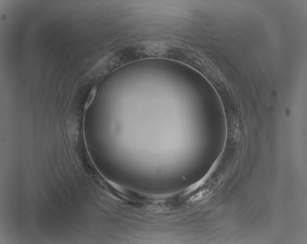 X0000051250697200506241547