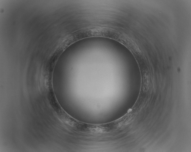 X0000051250698200506241547