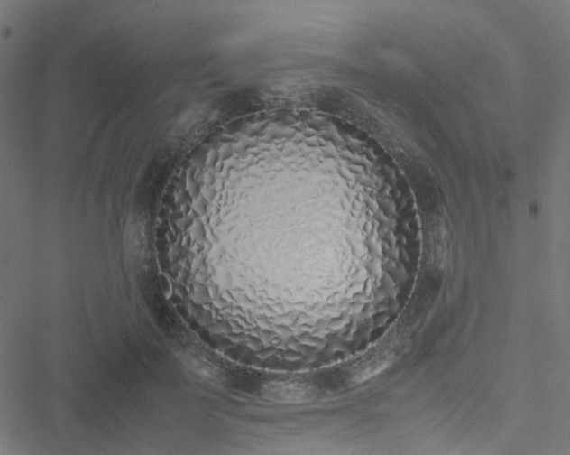 X0000051250699200506241547