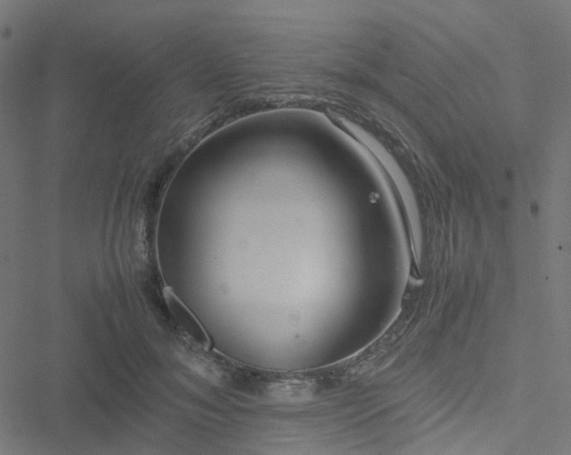 X0000051250700200506241547