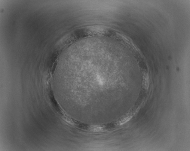 X0000051250701200506241547