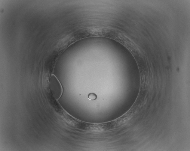 X0000051250702200506241547