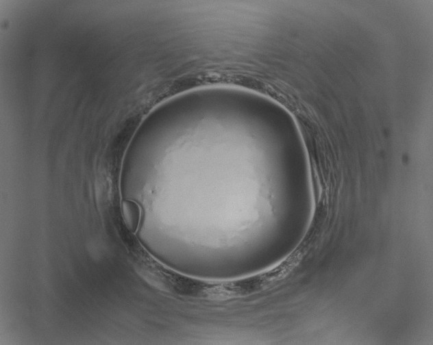 X0000051250703200506241547