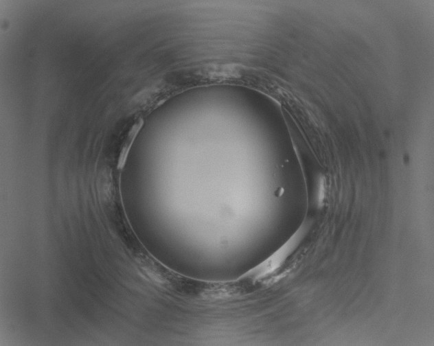 X0000051250704200506241547