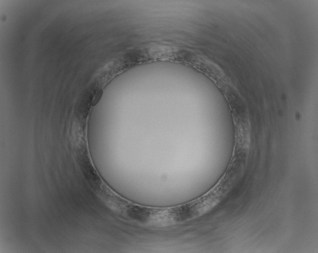 X0000051250705200506241547