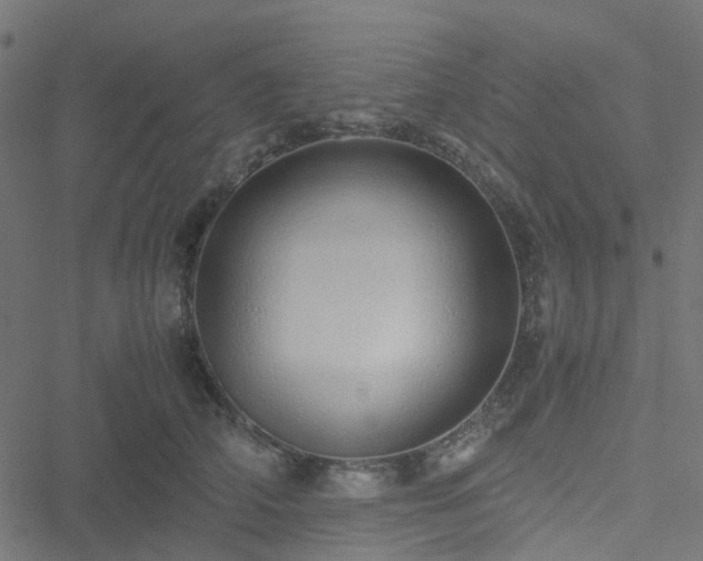 X0000051250706200506241547