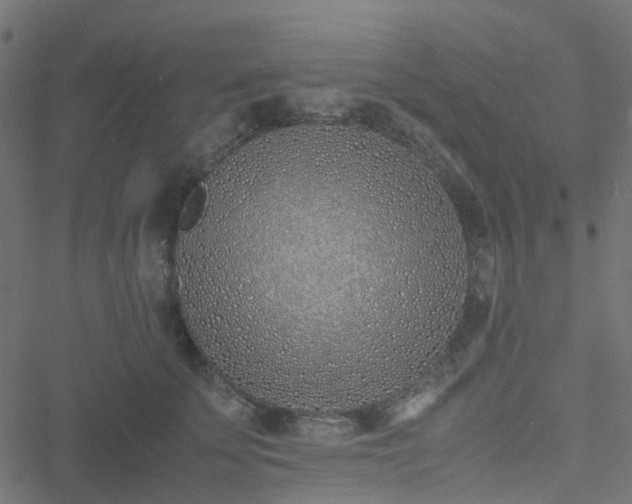 X0000051250707200506241547