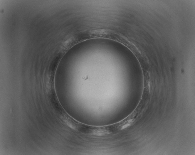 X0000051250708200506241547