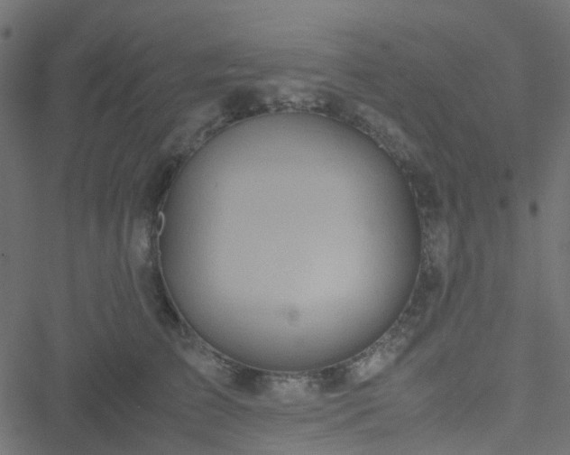 X0000051250709200506241547