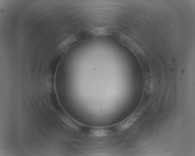 X0000051250710200506241547