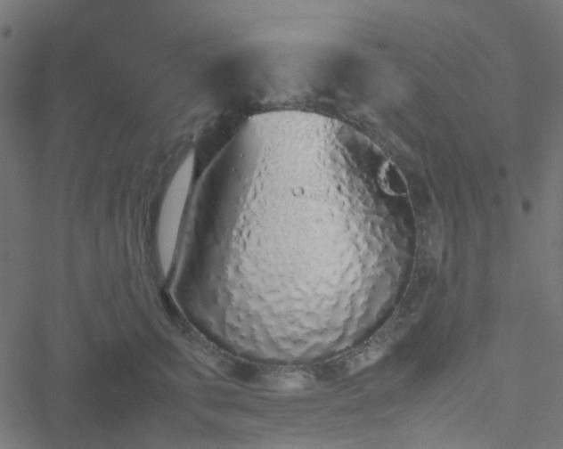 X0000051250711200506241547