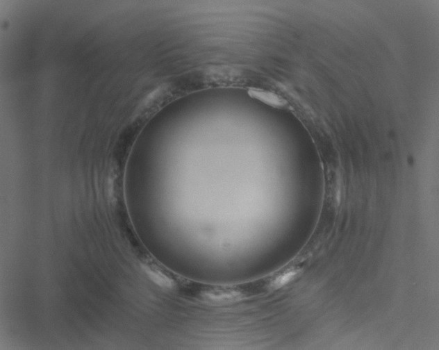 X0000051250712200506241546